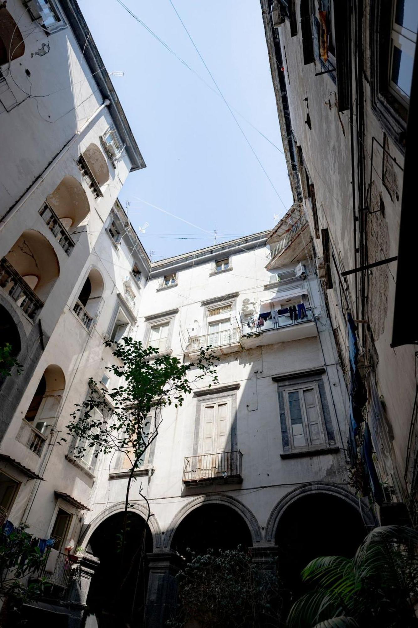 La Casa Sull'albero *